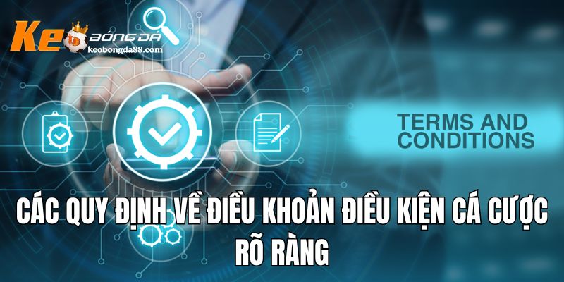 Các quy định về điều khoản điều kiện cá cược rõ ràng